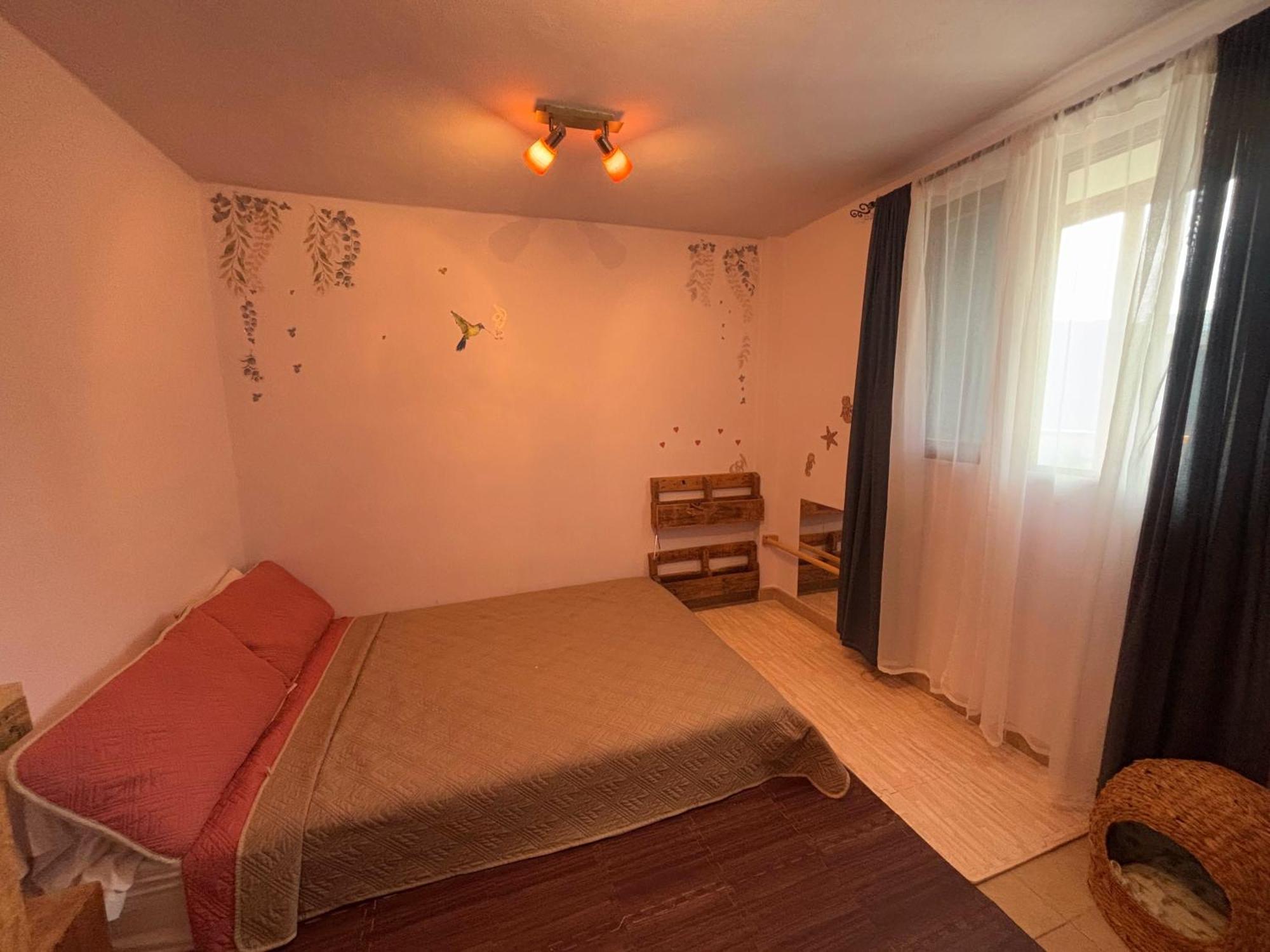 Casa Piedro Daire Puerto Morelos Dış mekan fotoğraf